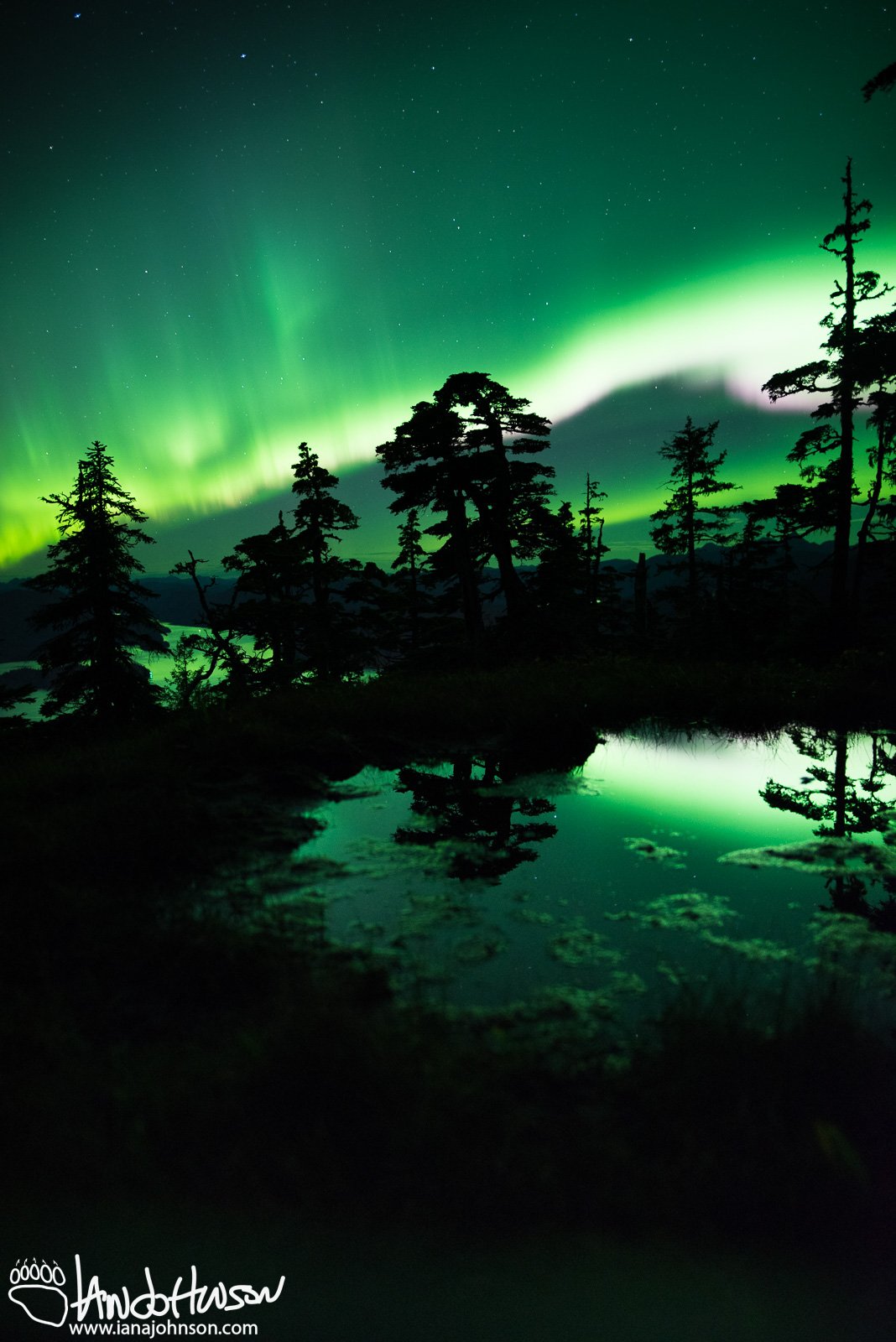 Aurora Borealis, Sitka Alaska, Harbor Mountain, Green Aurora, Purple Aurora, Ocean, Mountains