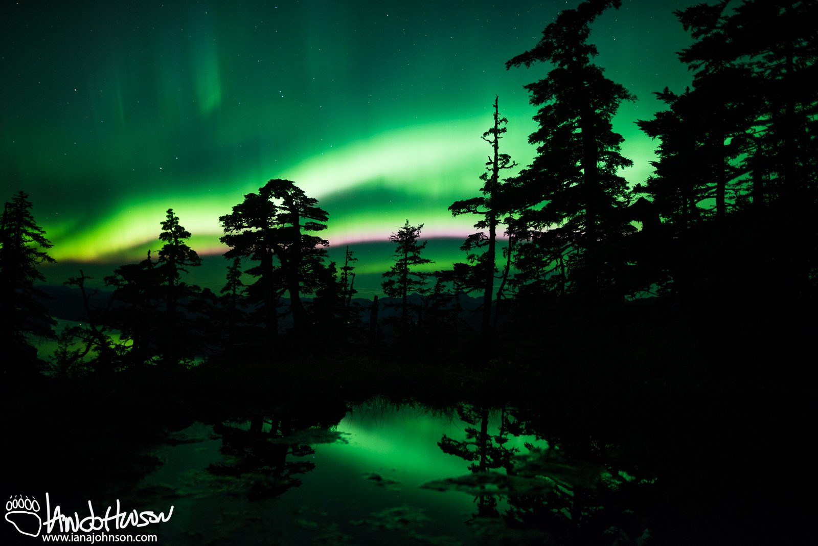 Aurora Borealis, Sitka Alaska, Harbor Mountain, Green Aurora, Purple Aurora, Ocean, Mountains
