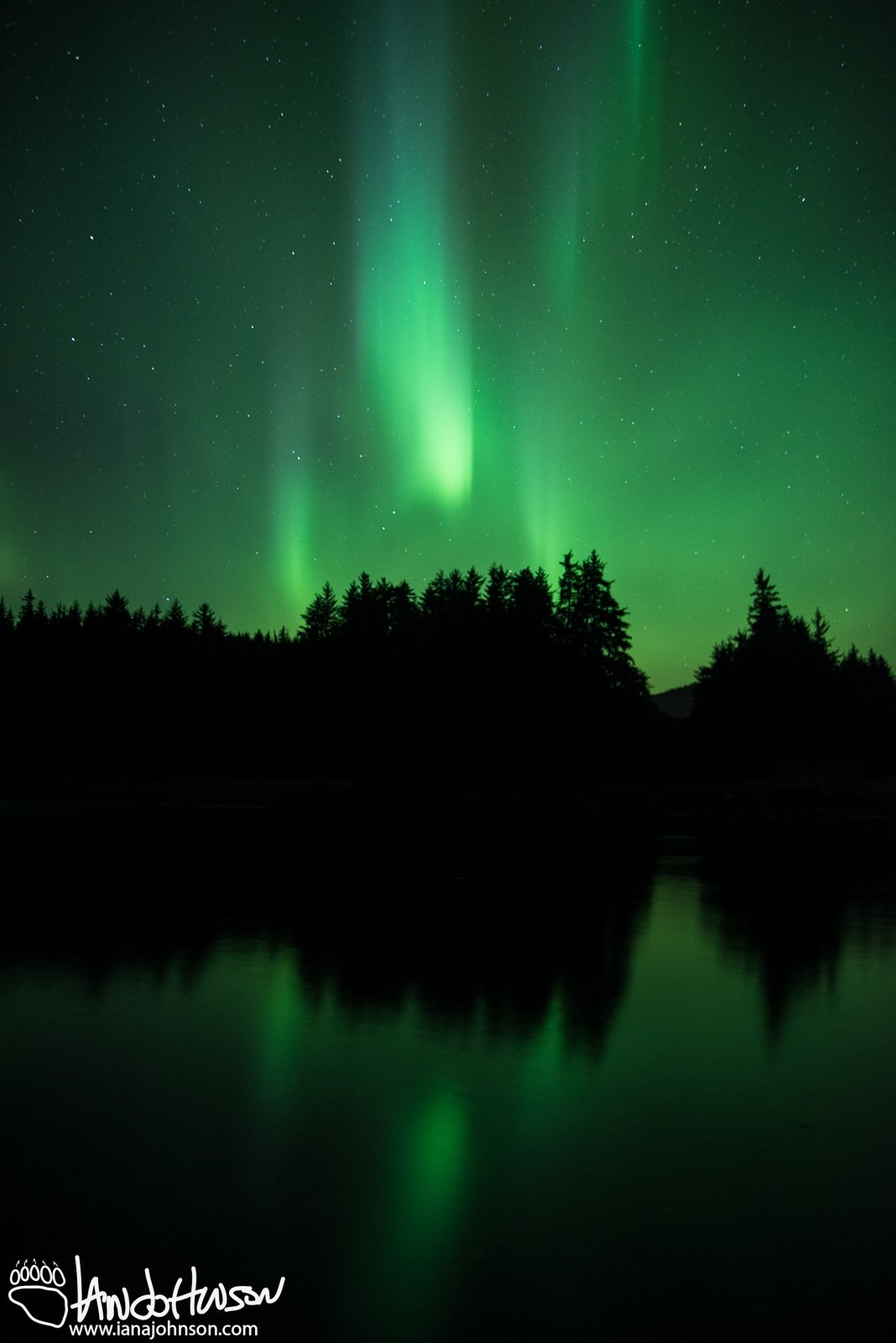 Aurora Borealis, Hoonah, Alaska