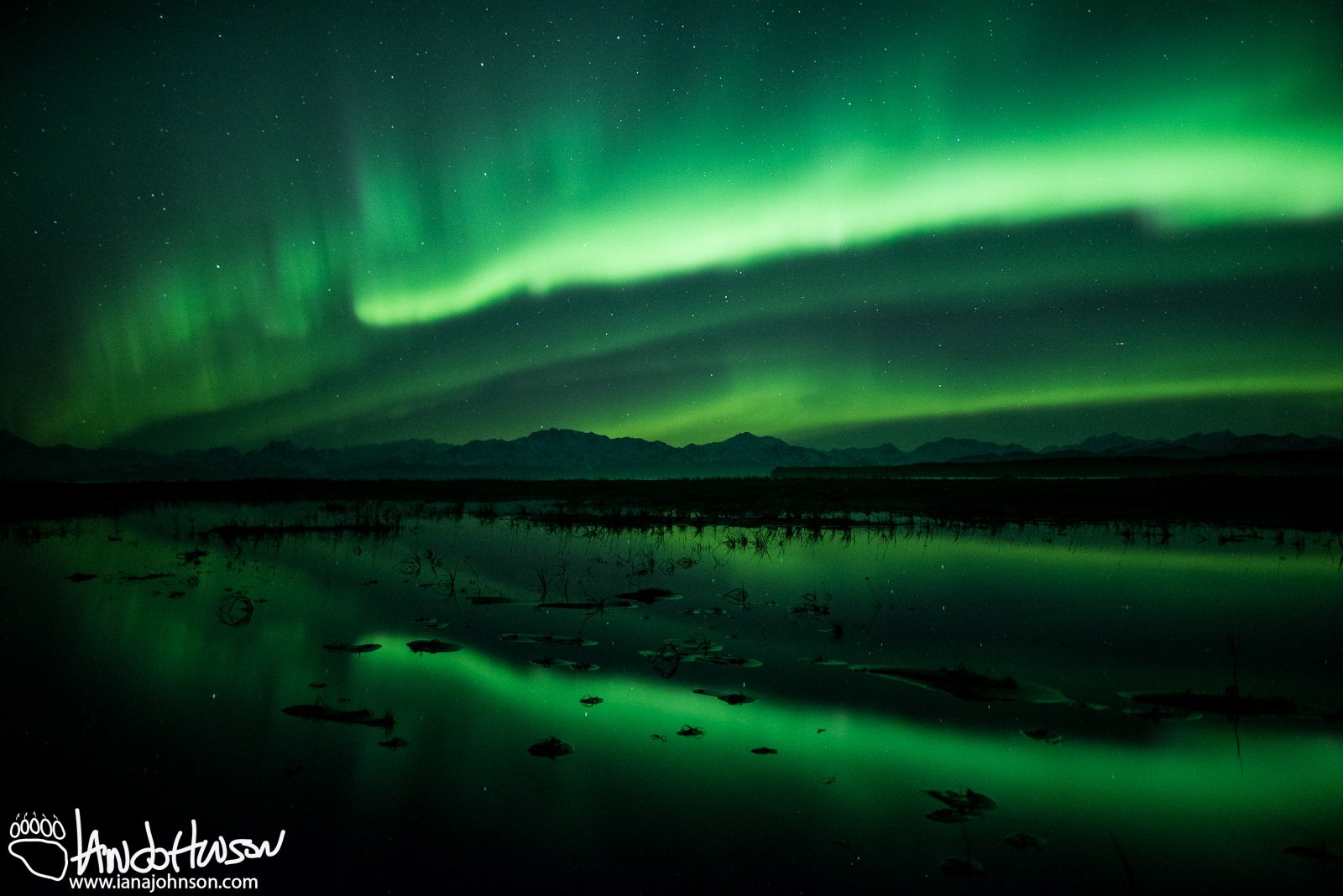 Yakutat Glacier, Aurora, Iceberg, Northern Lights, Alaska