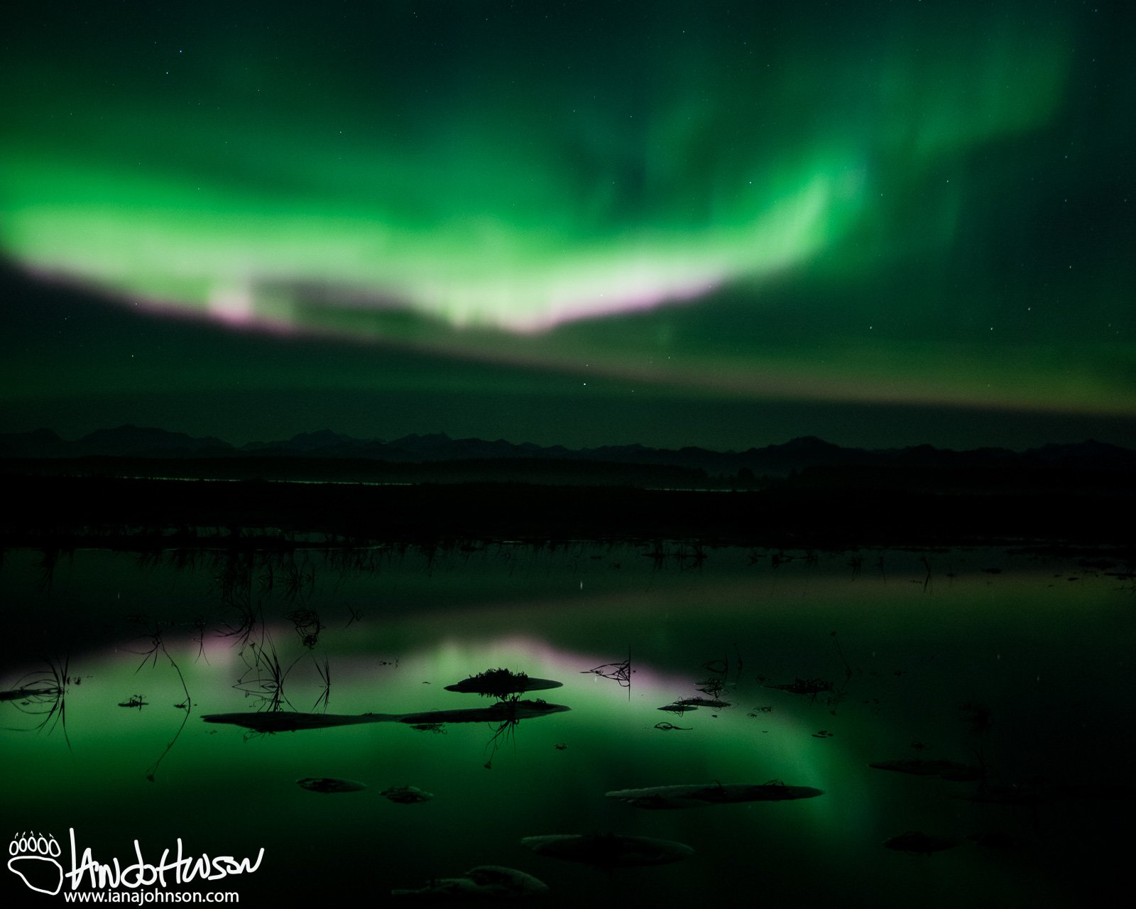 Yakutat Glacier, Aurora, Iceberg, Northern Lights, Alaska