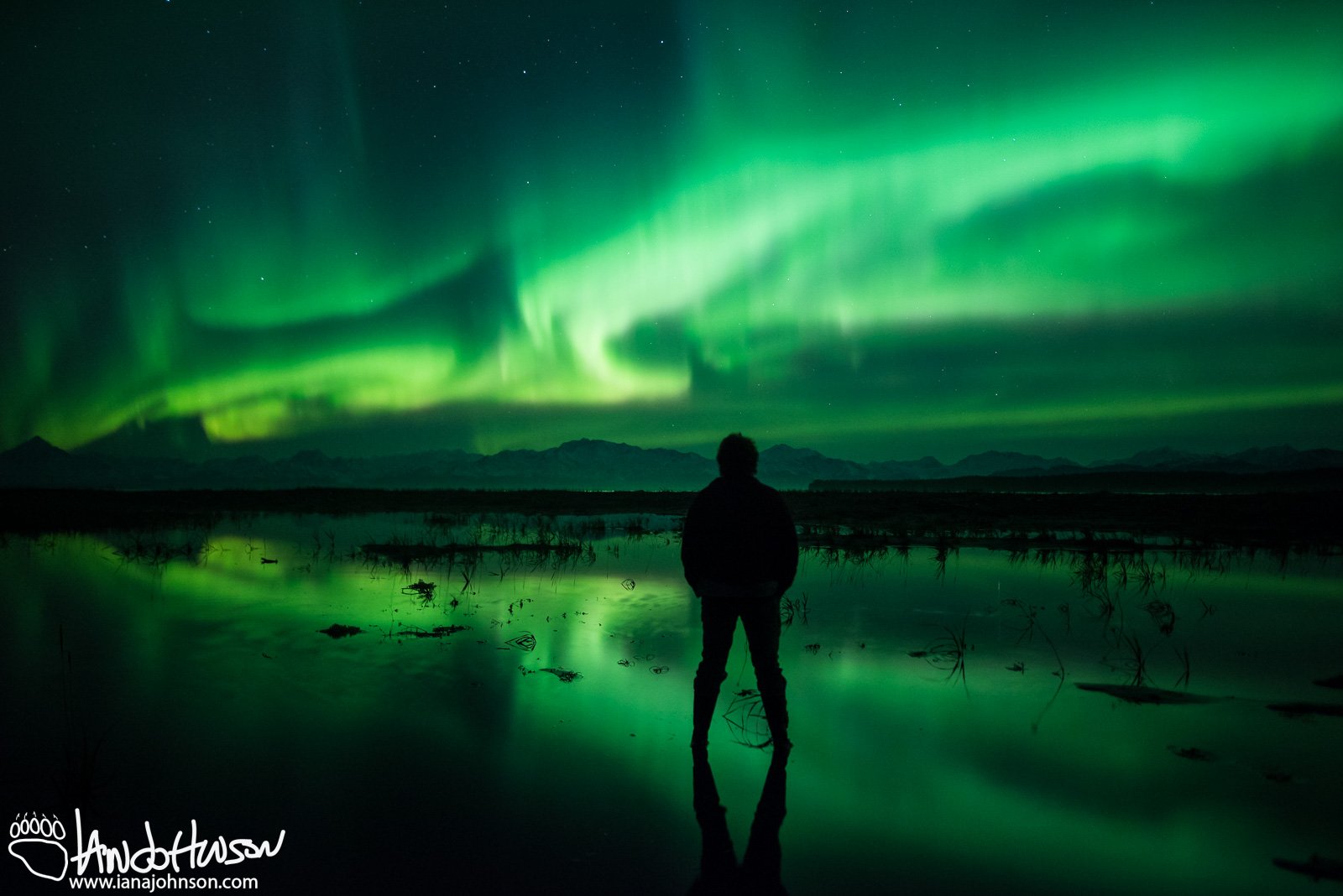 Yakutat Glacier, Aurora, Iceberg, Northern Lights, Alaska