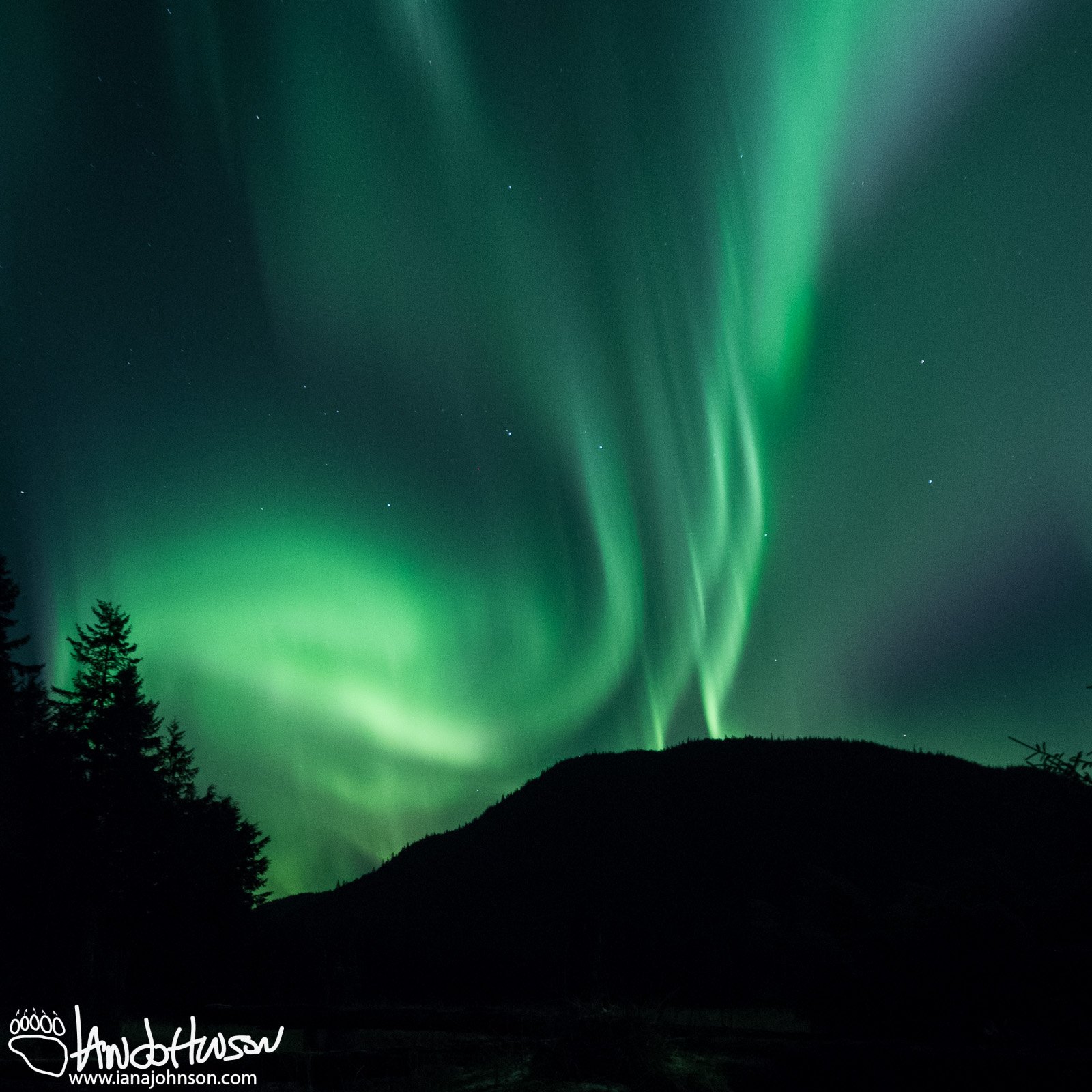 Aurora Borealis, Juneau, Alaska