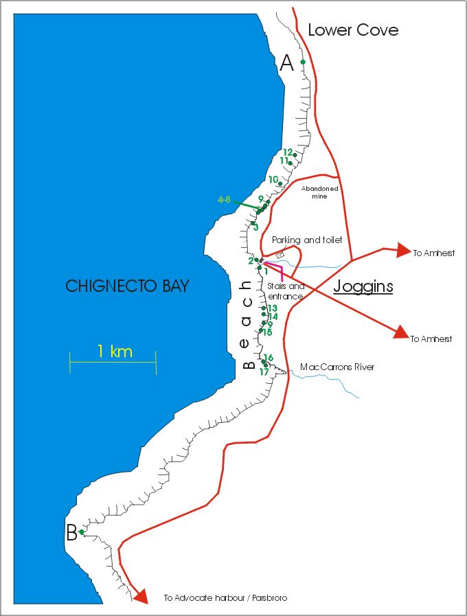 A study of The cliffs of Joggins - Part I - IanJuby A study of The cliffs of Joggins - Part I - IanJuby