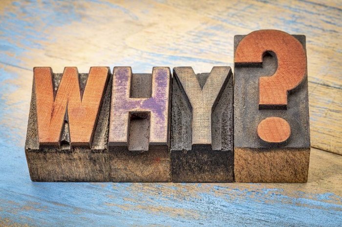 Why: The Key To Inspiring Leadership - Business HorsePower