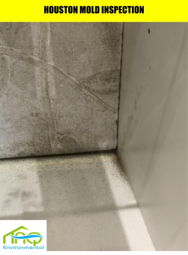 Learn how to make a plastic mold. Cheap Mold Testing Near Houston Iaq Environmental