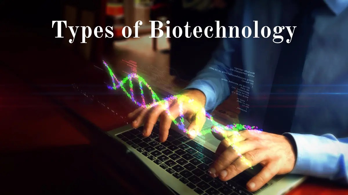 Types of Biotechnology