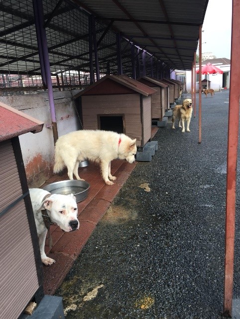 Barinaklar Arsivleri Sayfa 2 3 Minik Dostum Minik Dostum