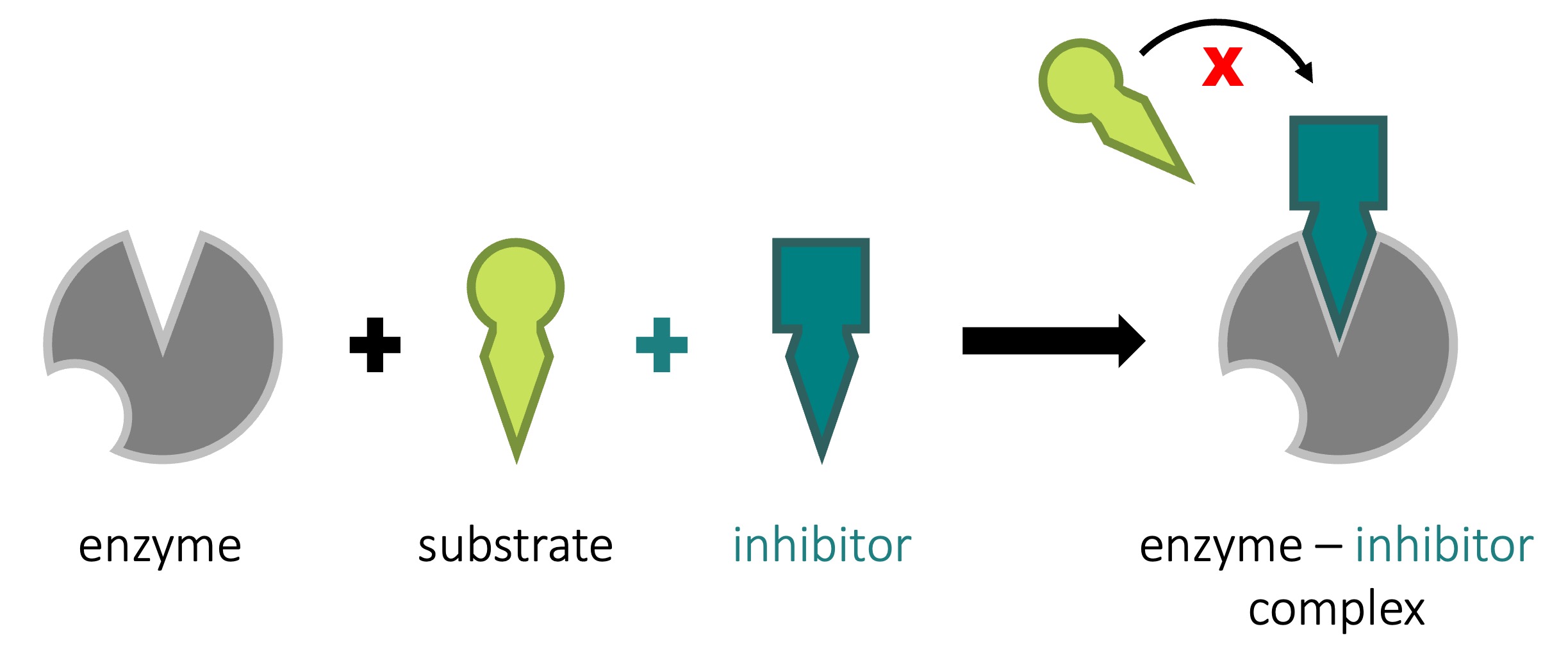 Enzyme inhibition