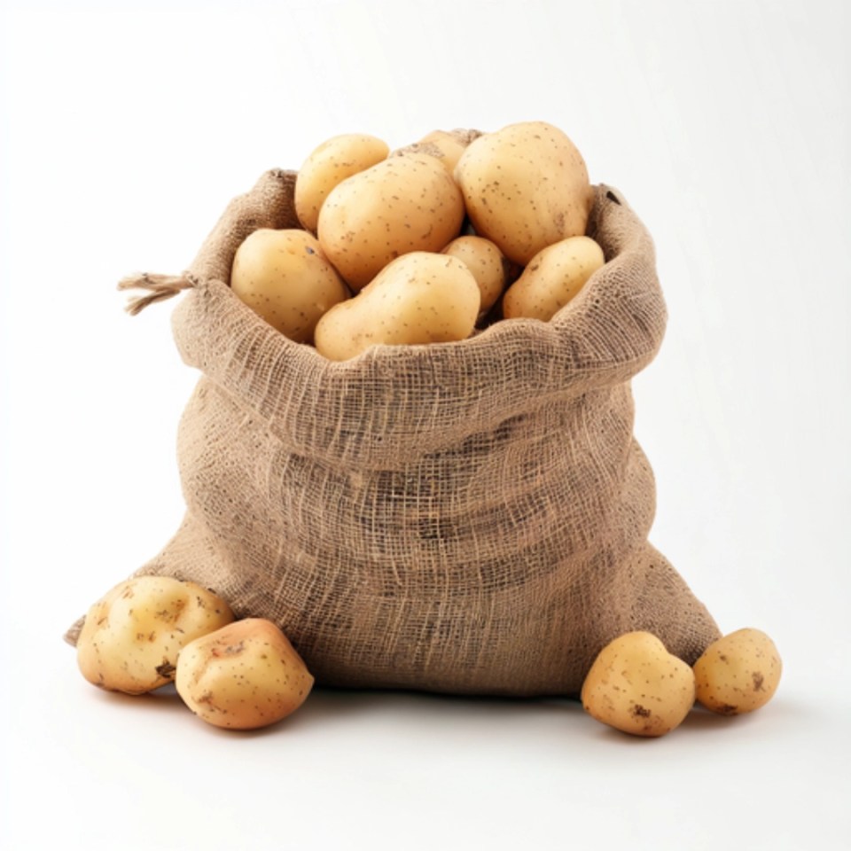 categoria patata