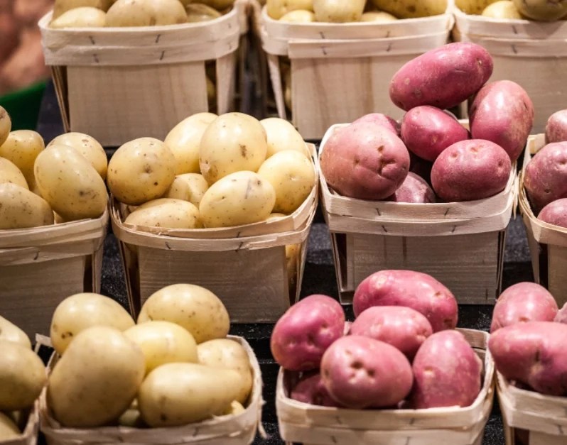 varietà di patate