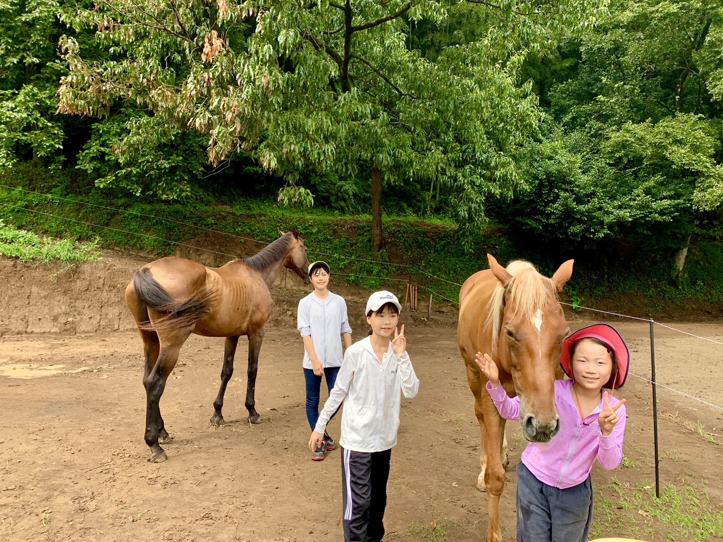 夏のガールズ馬キャンプのご案内