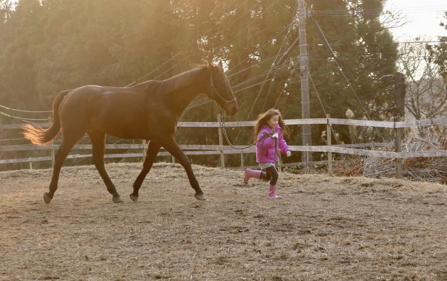 2023年親子デジタルデトックスリトリートのご案内