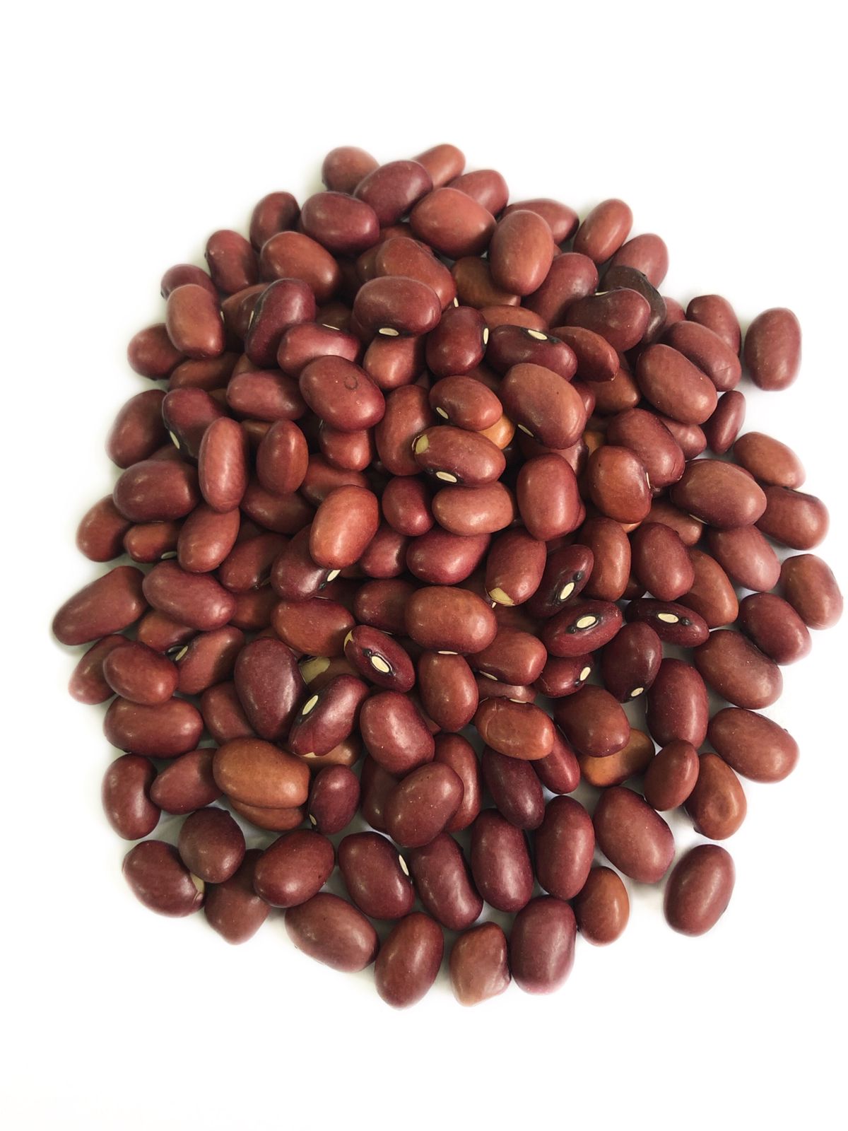 Red Beans (Roxinho Mineiro)