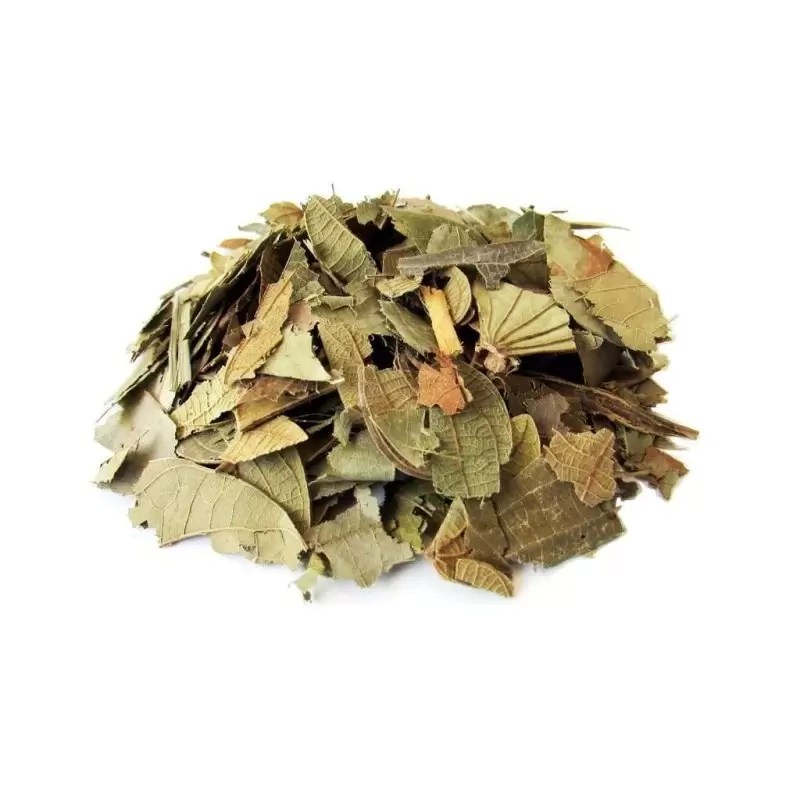 Insulin Plant Leaves for Tea