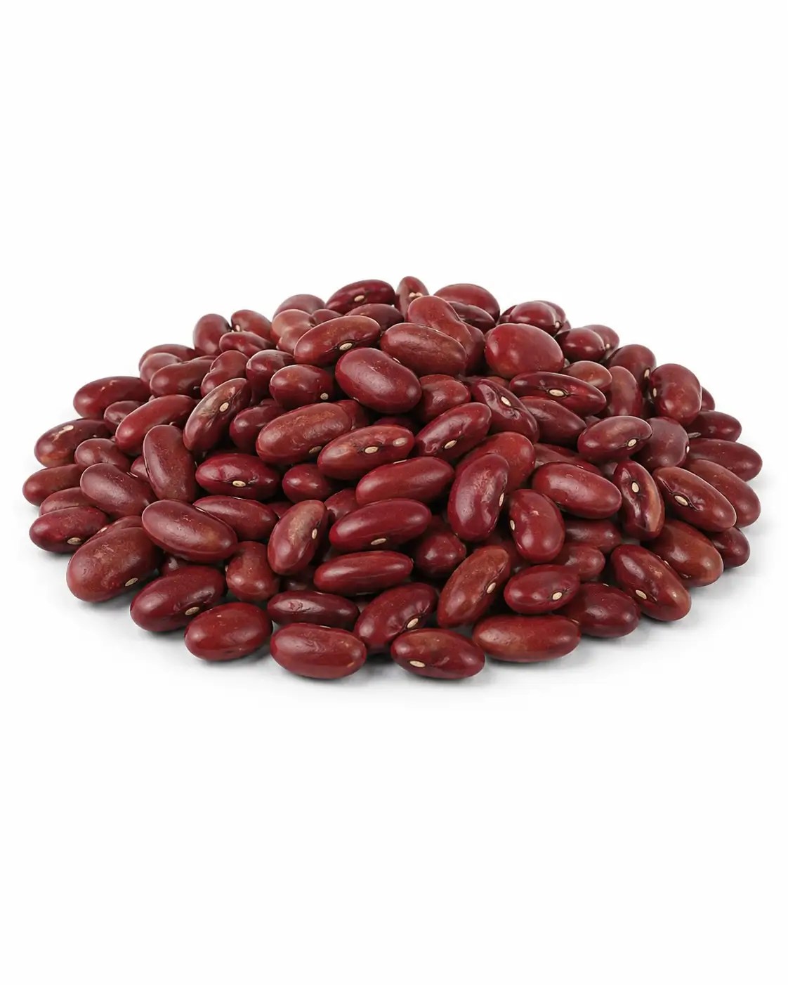 Roxão Beans (Brazilian Purple Bean)