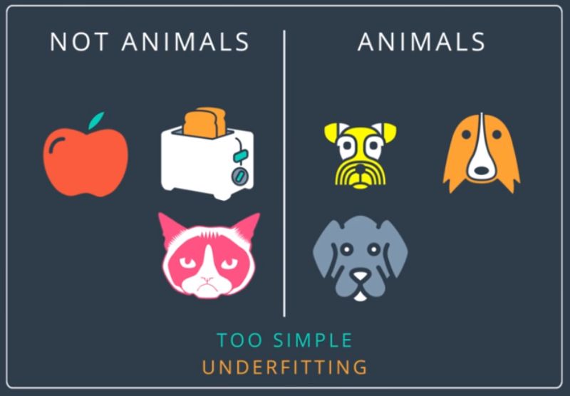 Udacity Deeplearning Udacity Deep Learning Nanodegree Course Notes - Download Elegant Nature Pattern | Mobile