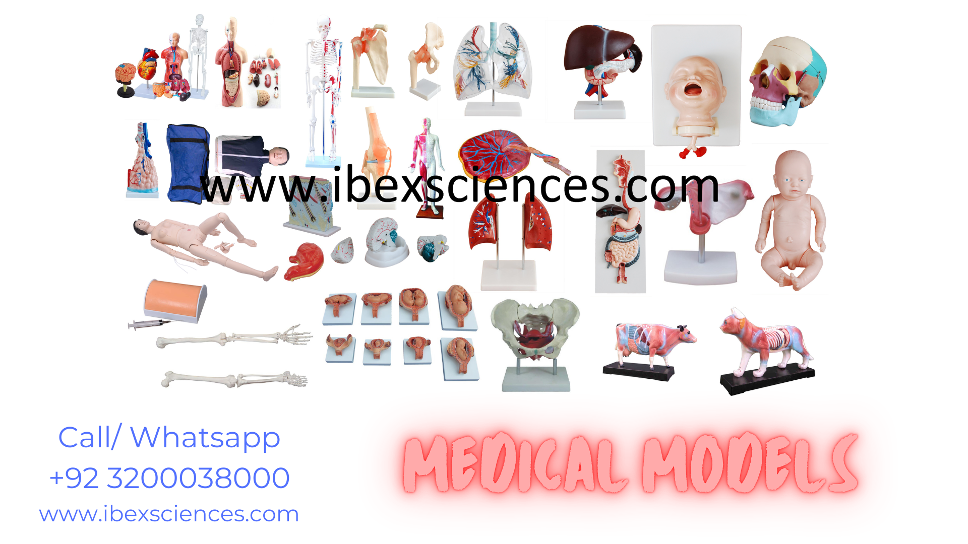 Medicals Models