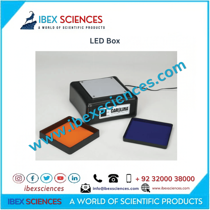 LED Box