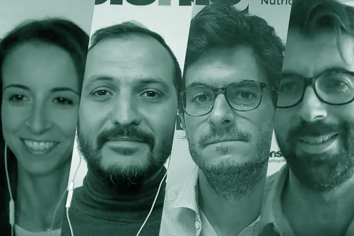 Equipo ibions