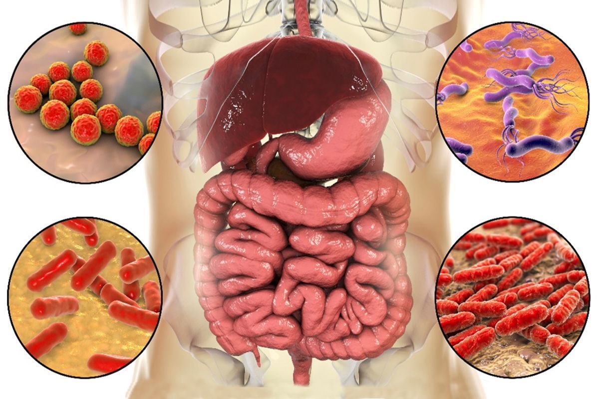 microbiota