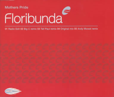 Mothers Pride - Floribunda