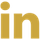 linkedin-icon