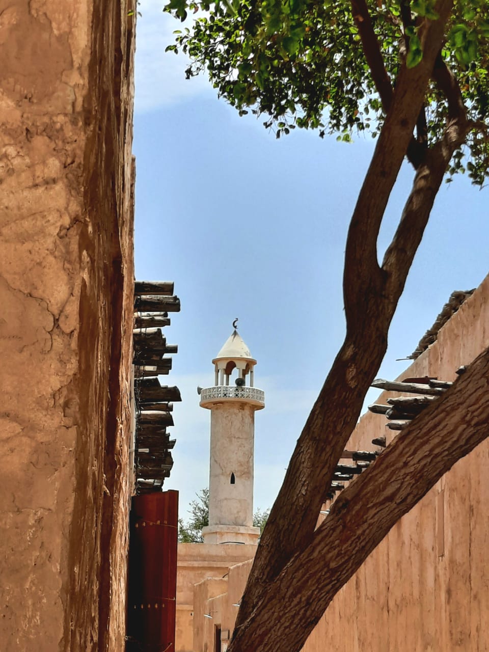 ab0a76d8 c038 46a6 a778 9ca0eda1ee28