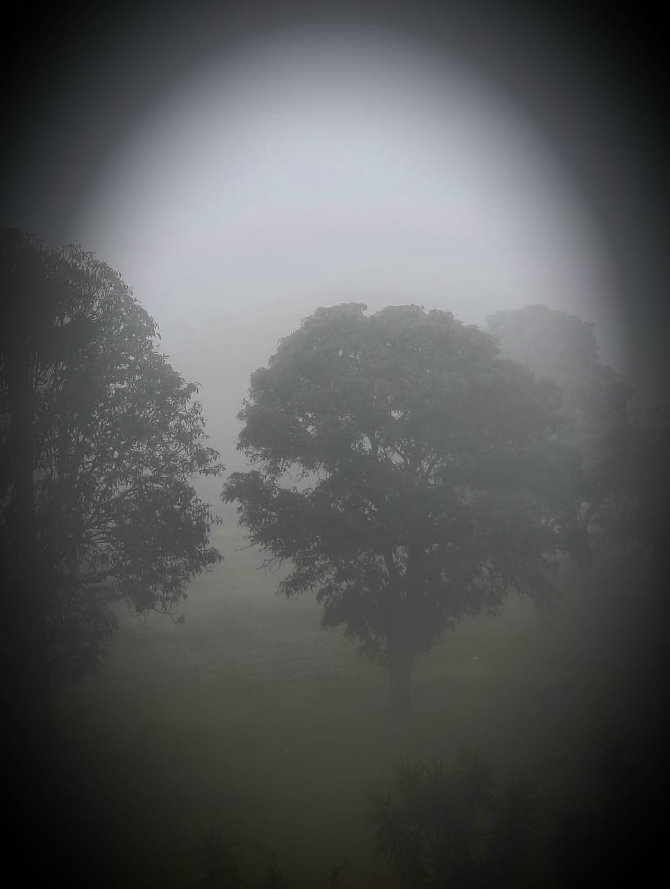 c01650cd 3a75 477e 92e9 fa1f1f4ed621