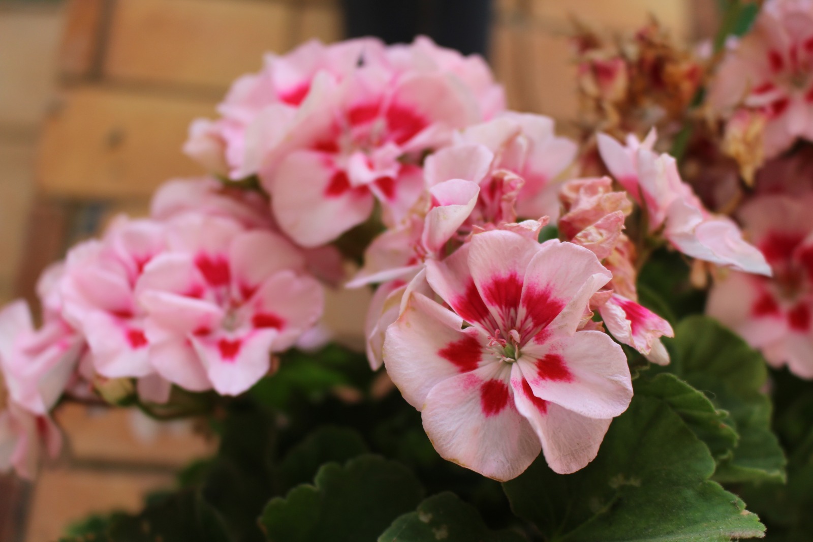 d32ada32 9d32 4bd8 ac67 2a45bc992fc8