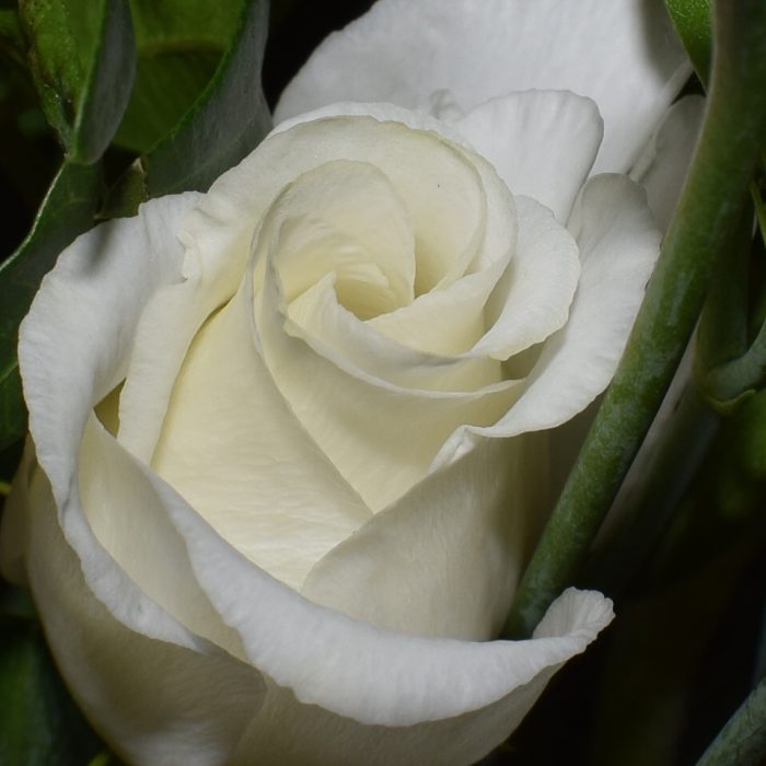 017
