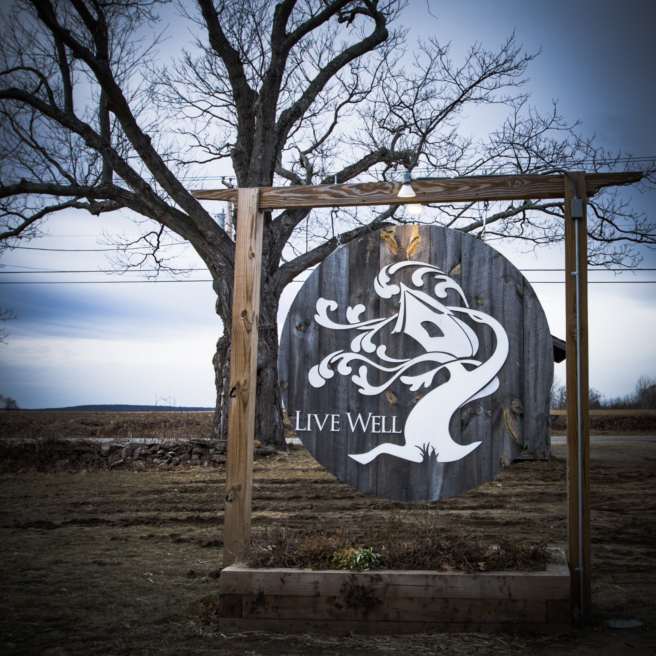 Tree House Brewing, a pilgrimage for beer lovers