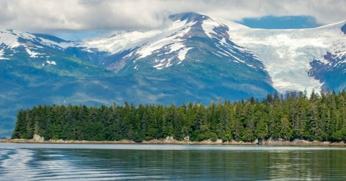 How to help save untouched national forests