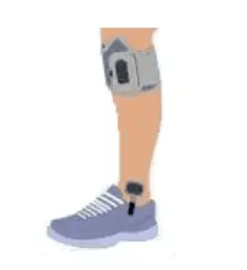 leg