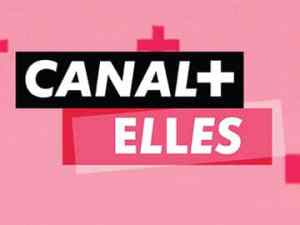 Cameroun: Suppression jusqu'à nouvel ordre de Canal+elles, les raisons