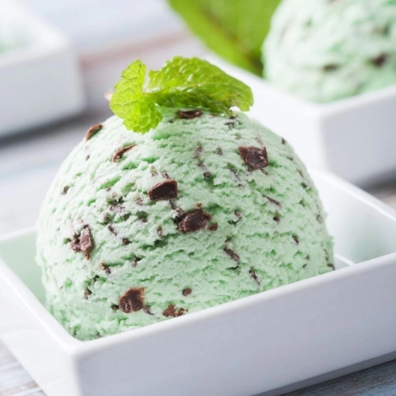 Yummy ninja creami mint chocolate chip ice cream recipe