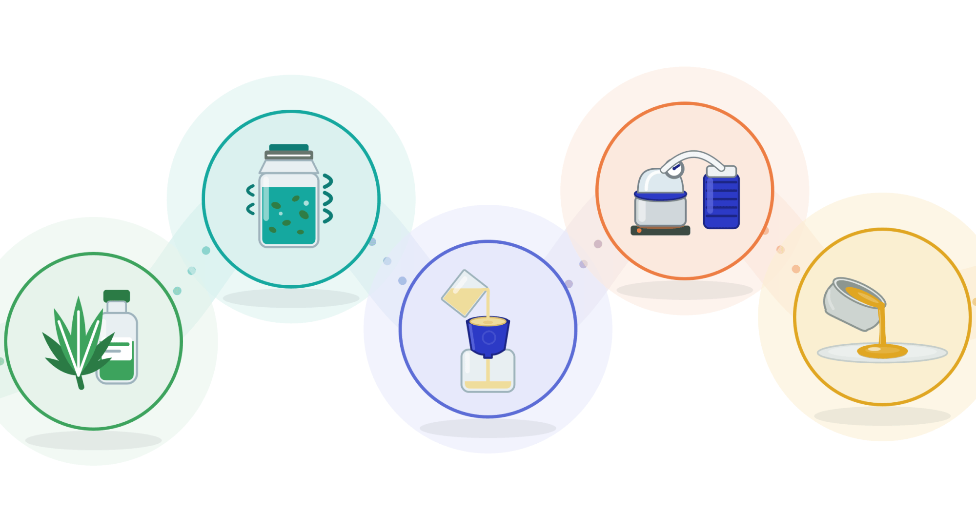 Ethanol extraction: five stages from cannabis to golden oil