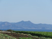 20200211b29 富山(とみさん)(房総)遠望