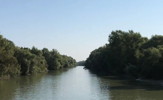 The Danube Delta