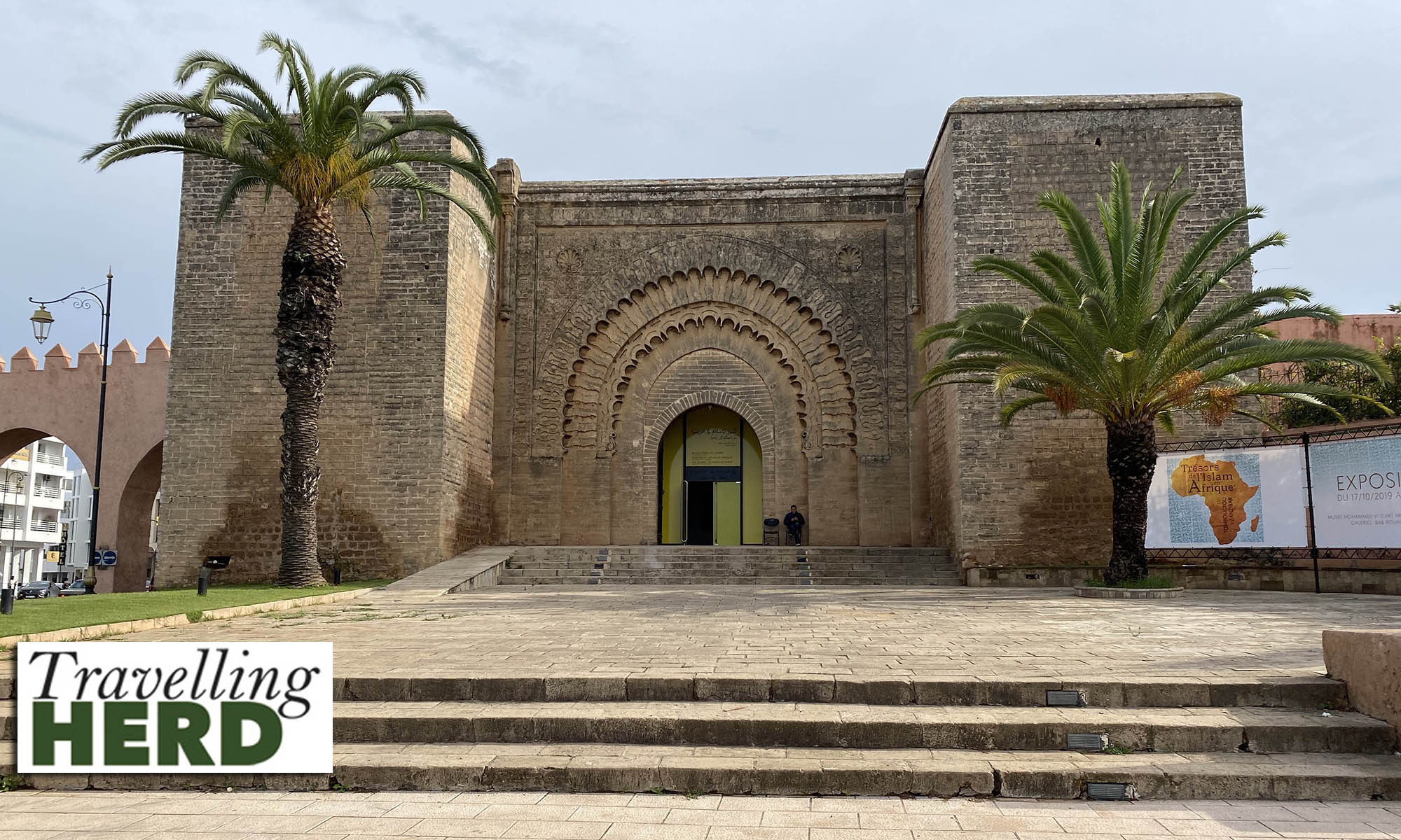 Kittens, eels and eggs in Rabat