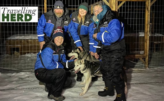 Running with Team Husky