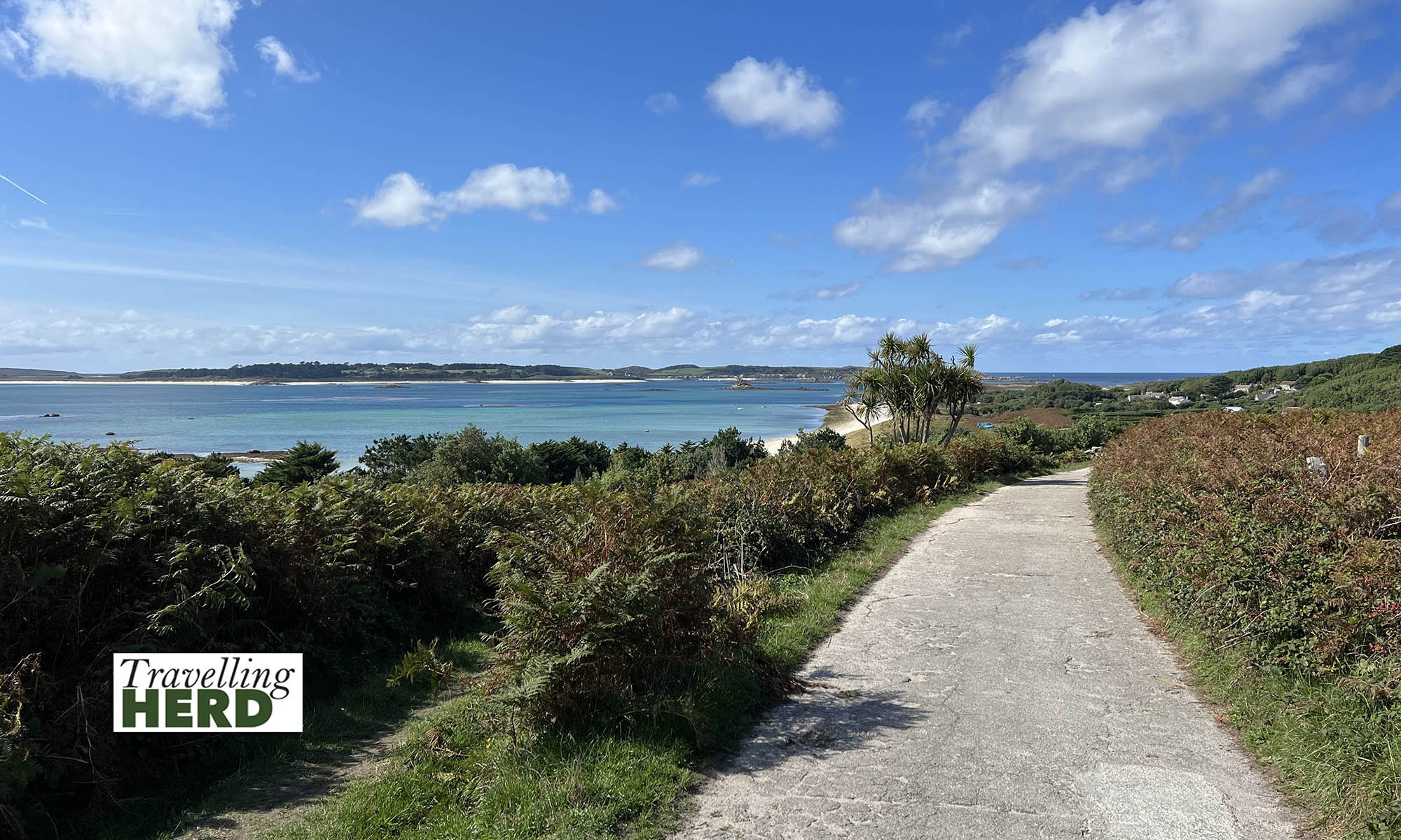 Tresco #3