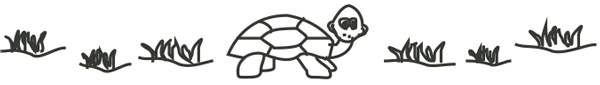 Turtle $0.00