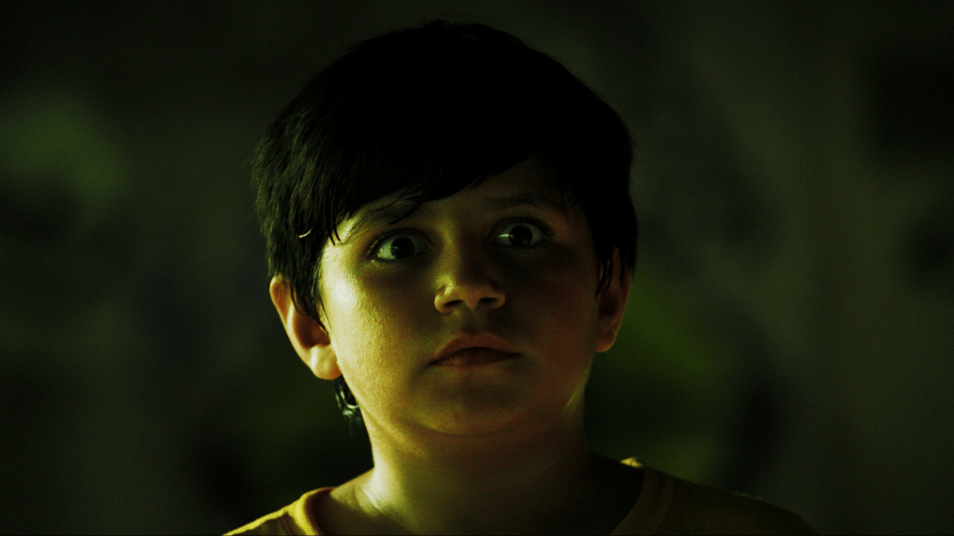 Close-up of a young boy in low green light, eyes wide and fixed on something off-camera.