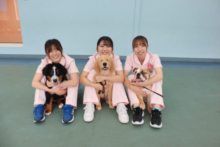 【すぐ分かる！国際ペットビジネス専門学校熱海校】