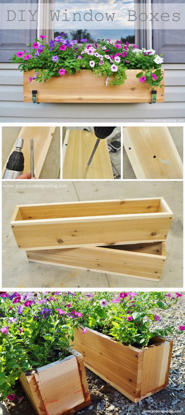 20 Creative Window Box Ideas