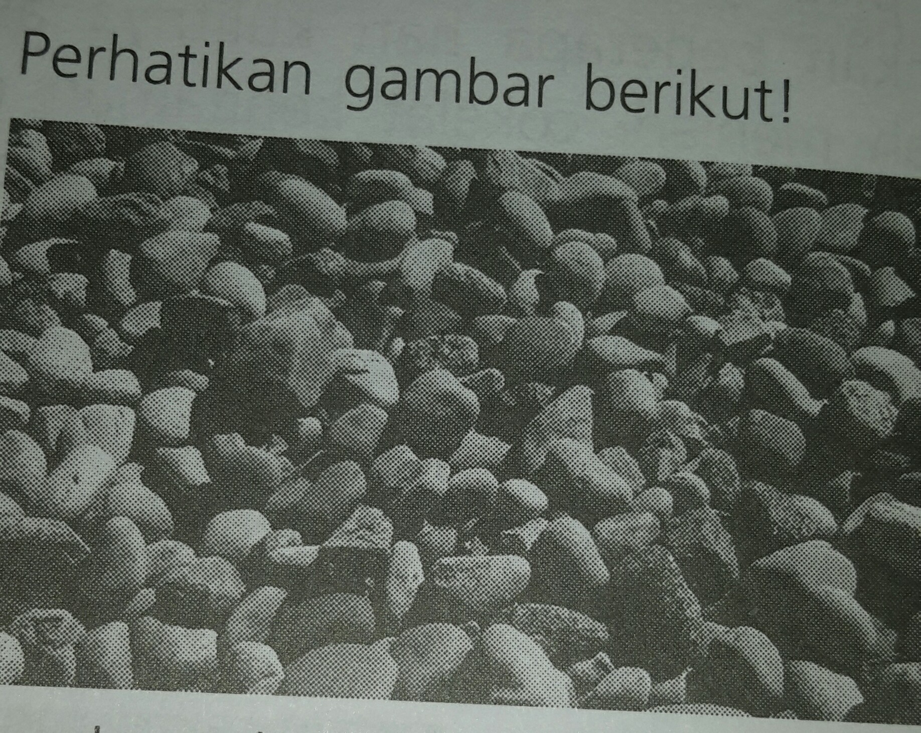 Sumber daya alam yang dapat diperbaharui dan . Soal Gambar Sumber Daya Alam Untuk Perhiasan - Bank Soalku