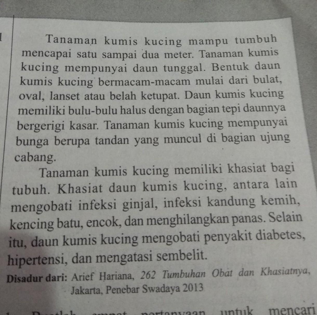 Kucing merupakan jenis hewan mamalia dari keluarga felidae. Contoh Laporan Pengamatan Tentang Kucing Info Wisata Hits