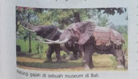 Mengembangkan fisik motorik dan seni melalui kegiatan mewarnai gambar monyet. Apakah Tema Masing Masing Karya Seni Rupa Tersebut Adakah Tema Berbeda Selain Yg Telah Disebutkan Brainly Co Id