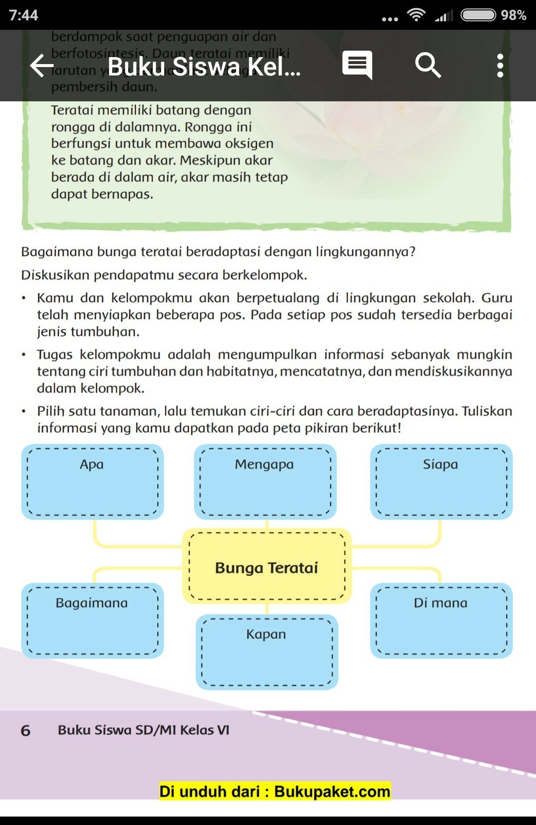 Bagaimana Bunga Teratai Beradaptasi Dengan Lingkungannya Cara Golden 